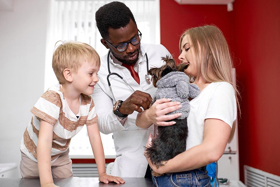 Specialized Business Insurance - Vet Doing a Check-up of a Small Dog in a Sweater While a Mother Holds the Dog and the Son Happily Watches in Office